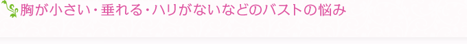 胸が小さい・垂れる・ハリがないなどのバストの悩み